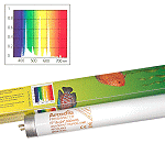 Arcadia 阿卡迪亞 T8 水草長效太陽燈管（36W）