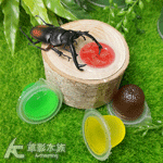 Insect Man 單孔果凍台（附果凍）