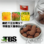 TBS 翠湖 高鐵肥根肥豆（紅色鐵肥/50粒）