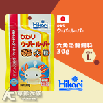 Hikari 高夠力 第三代 六角恐龍飼料（大顆粒/30g）