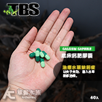 TBS 翠湖 底床鈣肥膠囊（40錠）