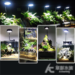 微型植物生態 照明燈具組（5W）