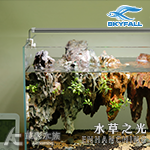 SKYFALL 天賞 水草之光 水草跨燈（30cm）