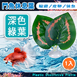 鬥魚休息室（深綠）