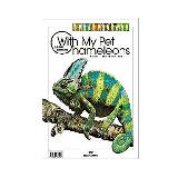 我與我的寵物變色龍