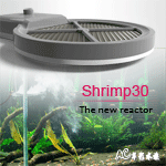 TWINSTAR 雙星 二代 Shrimp30