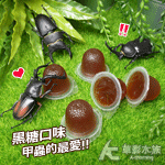 Insect Man 黑糖口味甲蟲果凍（16g/30入）