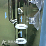 蝦の日記 氣動式蝦卵孵化器