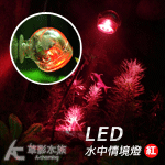 LED情境水中燈（1W/紅色）