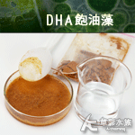 大洋藻類 DHA 飽油藻（35g）