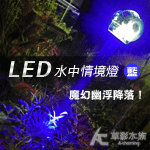 LED情境水中燈（1W/藍色）