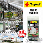 Tropical 德比克 六角恐龍/兩棲 紅椒飼料（250ml）