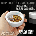 防落跑 麵包蟲用餵食盆（7cm）