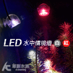 LED情境水中燈（1W/白色）