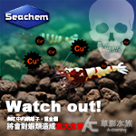 Seachem 西肯 銅&重金屬吸附劑（100ml）