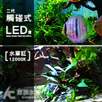 金礦 二代觸碰式LED燈（12000K）