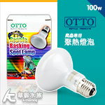 OTTO 奧圖 爬蟲聚熱燈泡（100W）