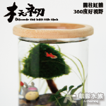 木之初 旋轉圓柱型缸