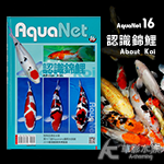 AquaNet 16 認識錦鯉