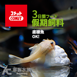 COMET 可美多 3天份 旅遊飼料（4錠）