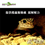 REPTI ZOO 躲藏岩洞（M）