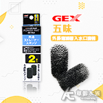 GEX 五味 外掛入水管棉（2入）