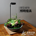 微型植物生態 照明燈具組（5W/定時/調光）