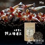 白倉貴之 特上海老玉 特上水晶蝦飼料（30g）