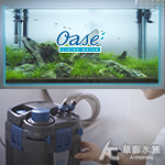 德國 OASE 歐亞瑟 BioMaster 850 外置式過...