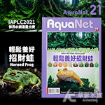 AquaNet 21 世界水草造景大賽&輕鬆養好招財蛙