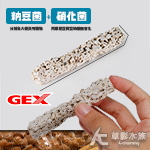 GEX 五味 納豆菌硝化菌 活菌過濾棒（1入）