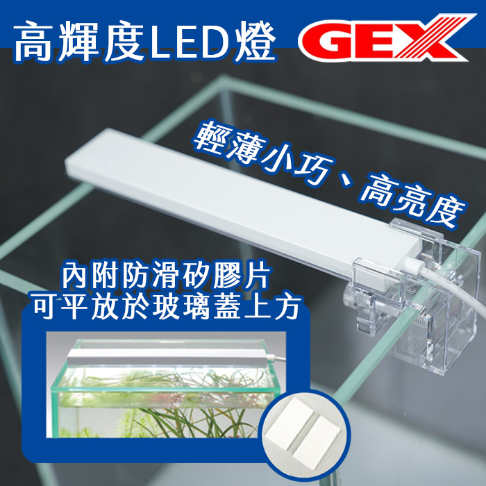 GEX 五味 USB高輝度LED燈（白）