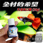 村長 全村的希望 孔雀魚口糧（10g）