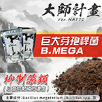 友浚 B.MEGA 大師計畫（20g）