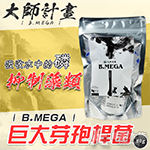 友浚 B.MEGA 大師計畫（80g）