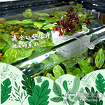 魚菜共生 水耕定植籃（透明）