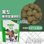 Hikari 高夠力 異型專用營養飼料（大顆粒/300g）