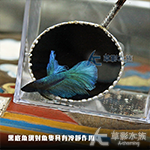 泰式黑底 不漏水手工魚網（小圓）