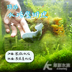水垢魔術擦（海豚）