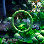 綠絲絨 甜甜圈浮球（L）
