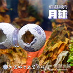 躲避洞穴 月球