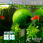 躲避洞穴 苔球