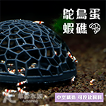 鴕鳥蛋蝦礁