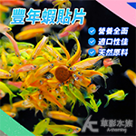 豐年蝦貼片 30片