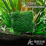 珊瑚莫絲鐵片（8x8cm）