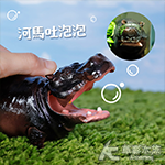 高擬真 河馬吐泡泡