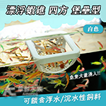 漂浮蝦礁 四方 堡壘形（白色）