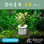 圓形基座 白色（4入）