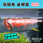 稻田魚產卵器 自浮粉色