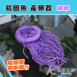稻田魚產卵器 自浮紫色